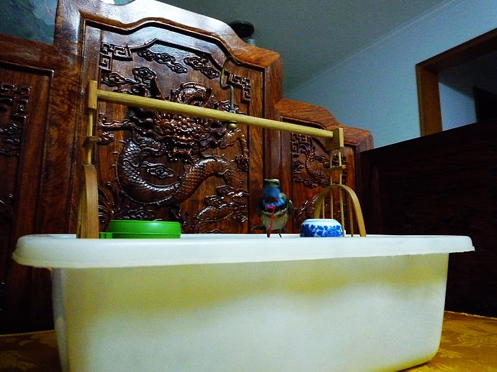 P1040915.jpg