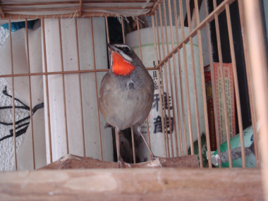 DSC07873.jpg
