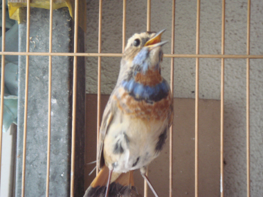 DSC08093.jpg