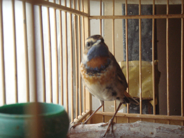 DSC08069.jpg