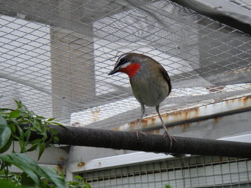 jpg03581.JPG