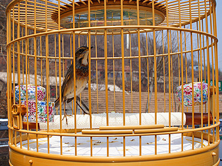 DSC02201_副本_副本.jpg