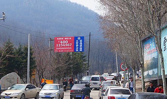 DSC02204_副本_副本.jpg