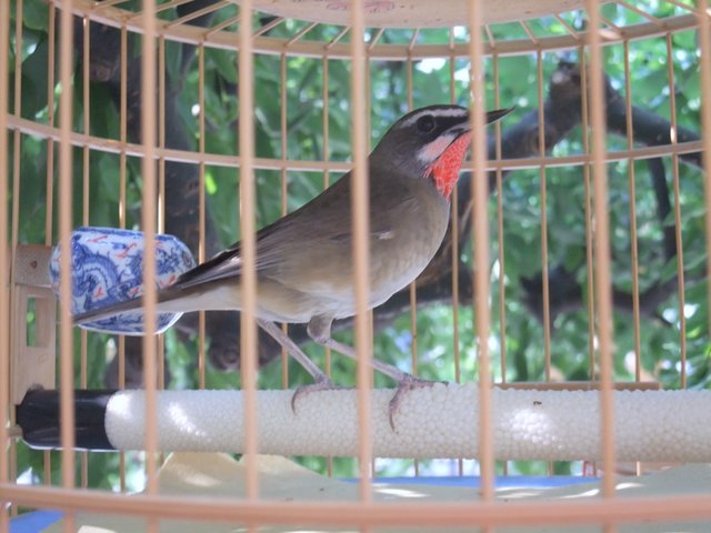 DSCF0020.JPG