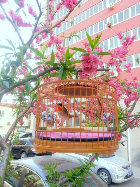 20130501_173254-001.jpg