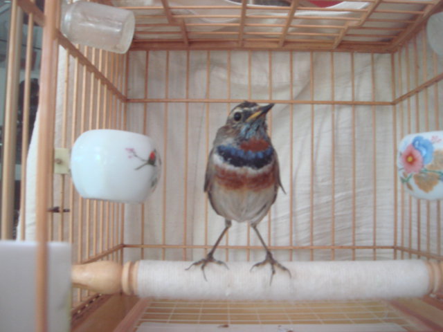 DSC04960.JPG