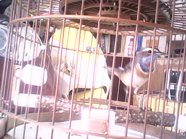 IMG0188A.jpg
