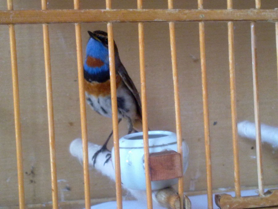 20130525147_副本.jpg