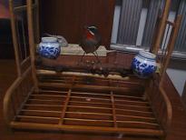 IMG_20121105_212456.jpg