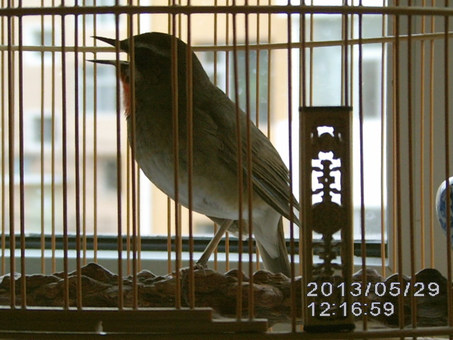 IMAG0003.JPG