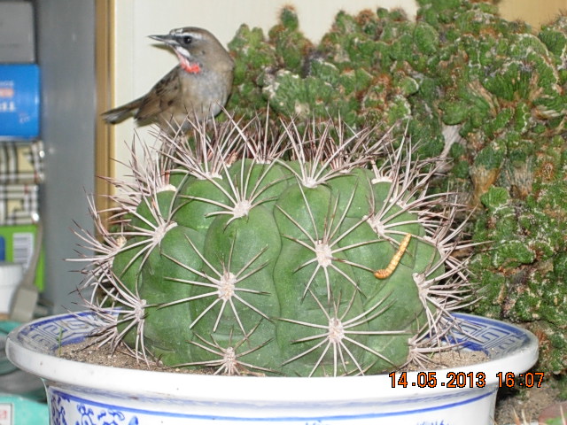 DSCN2312.JPG