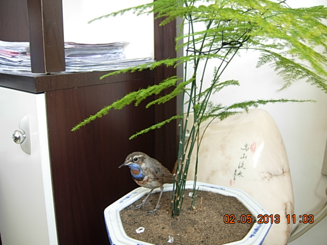 DSCN2271.JPG