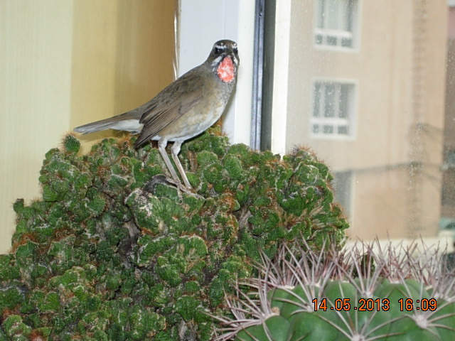 DSCN2321.JPG