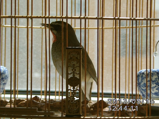 IMAG0004.JPG