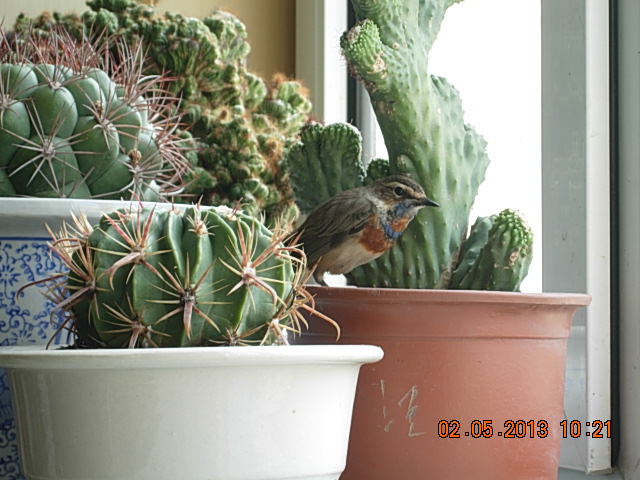 DSCN2224.JPG