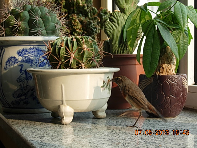 DSCN2286.JPG