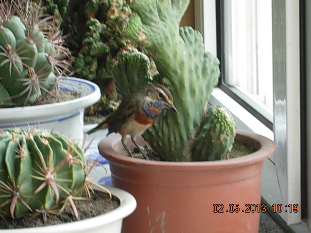 DSCN2215.JPG