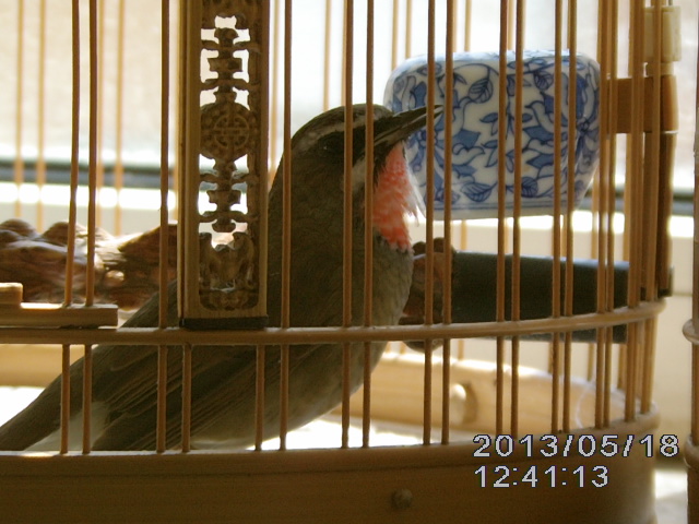 IMAG0012.JPG