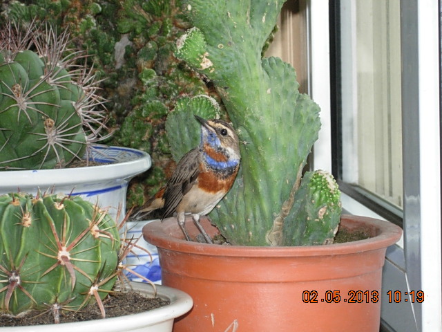 DSCN2217.JPG
