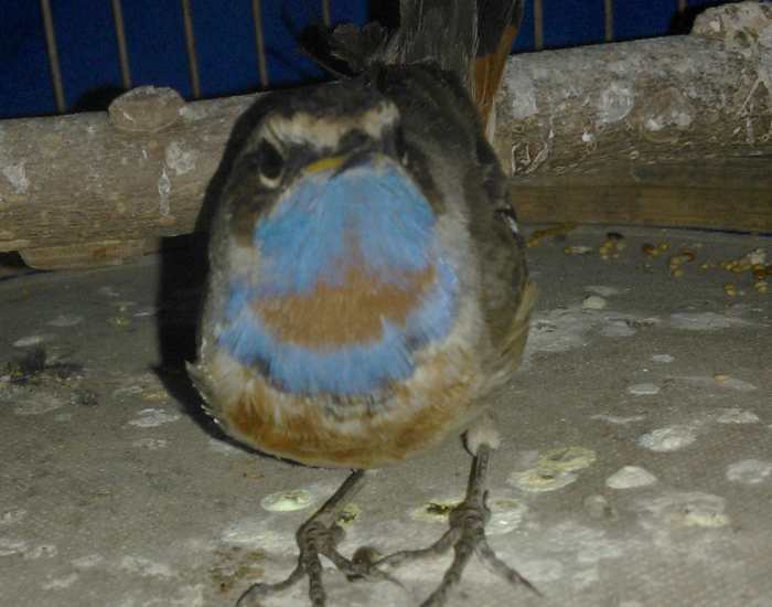WP_000486.jpg