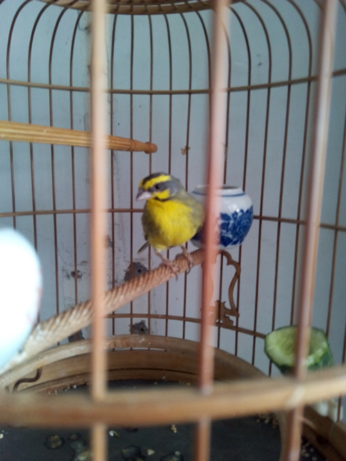 IMG_20130530_132803_副本.jpg
