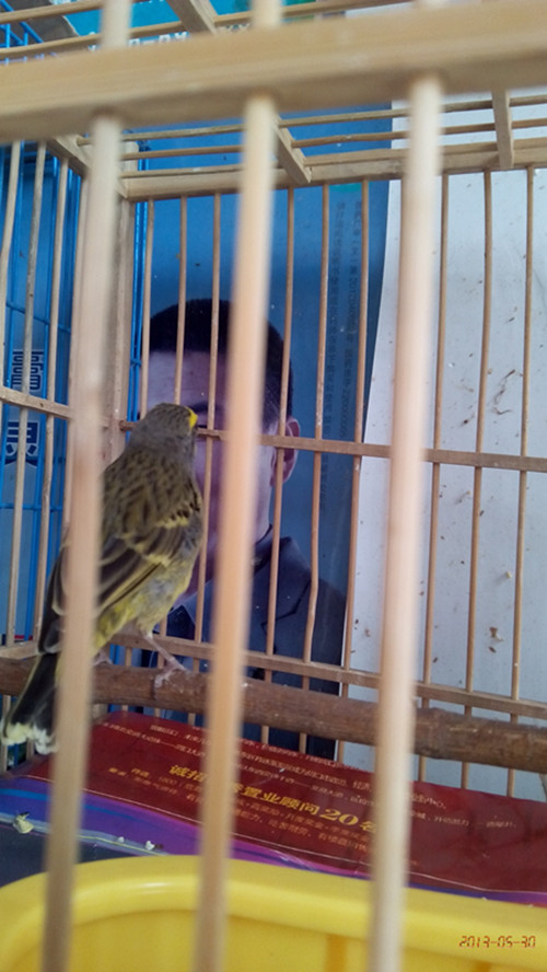 IMG_20130530_130518_副本.jpg