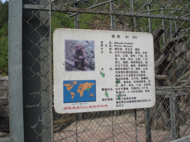 照片（游玩北宫森林公园） 026.jpg