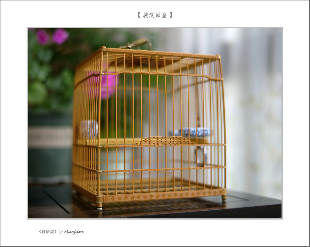nEO_IMG_L1000136.jpg