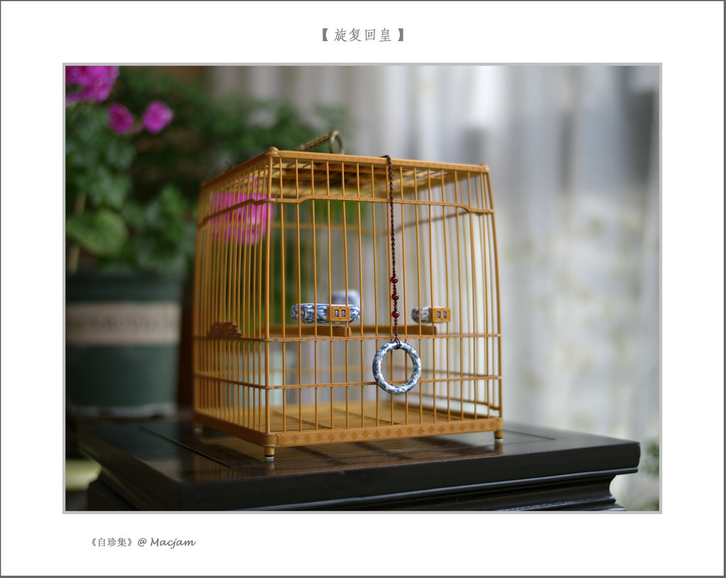 nEO_IMG_L1000135.jpg