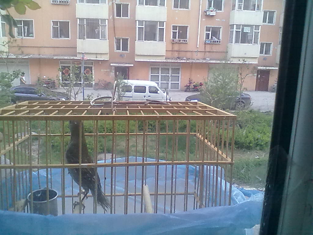20130523830.jpg