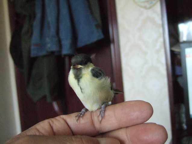 DSCF4746_调整大小.JPG