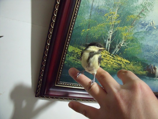 DSCF5554.JPG