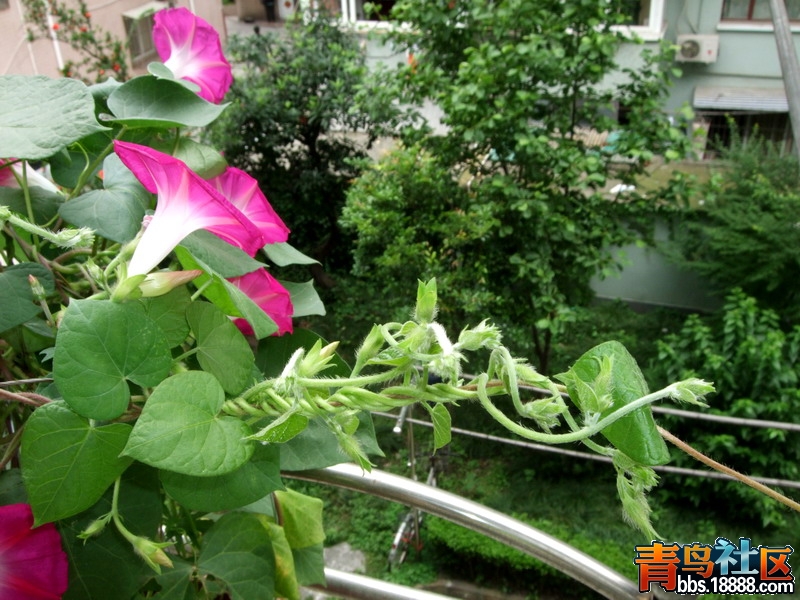 DSCF7414.jpg
