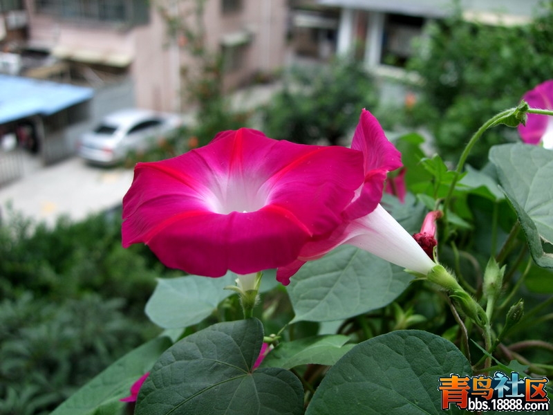 DSCF7412.jpg