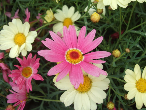 DSCF3426_调整大小.JPG