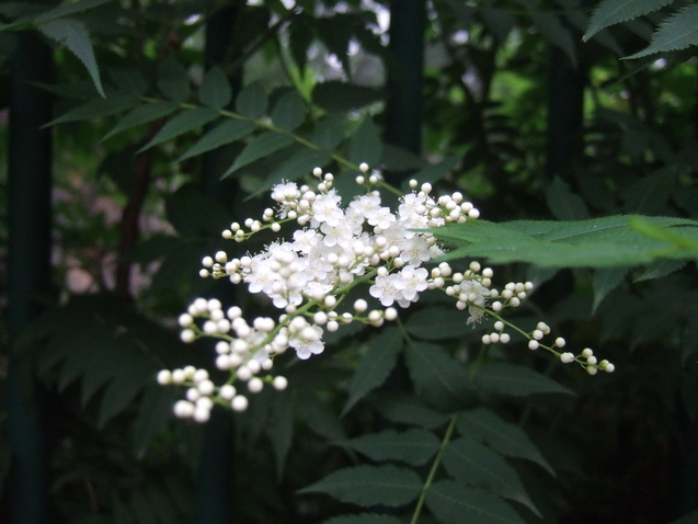 DSCF6035_调整大小.JPG