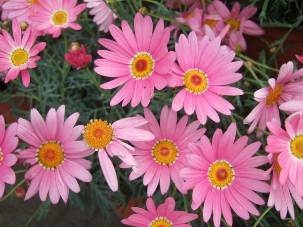 DSCF3427_调整大小.JPG