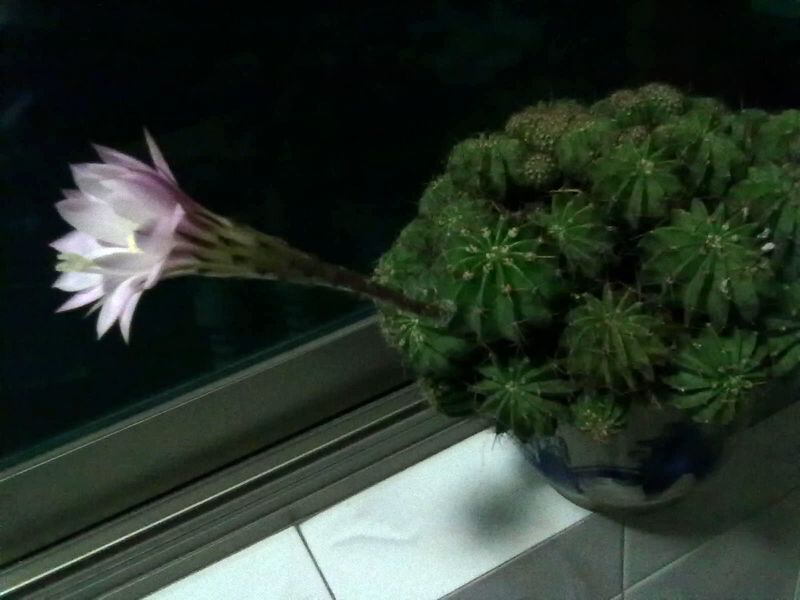 201306091587.jpg