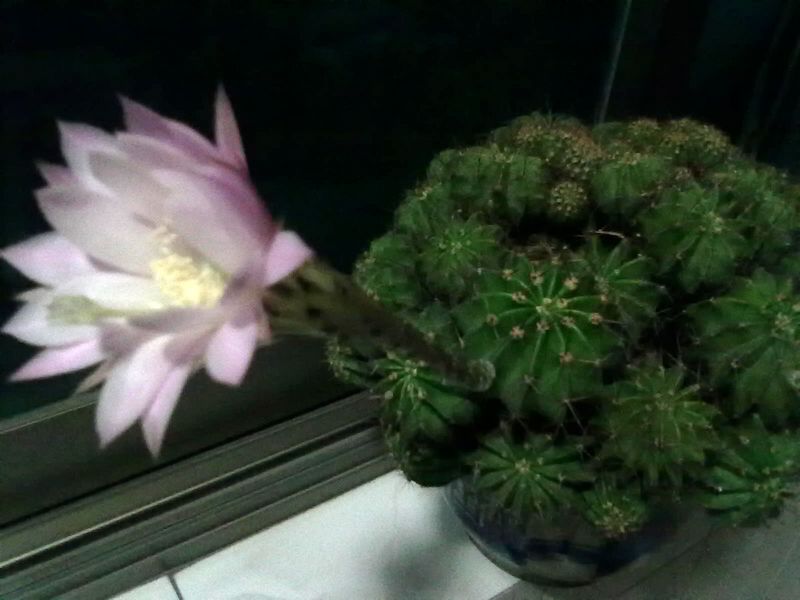 201306091582.jpg