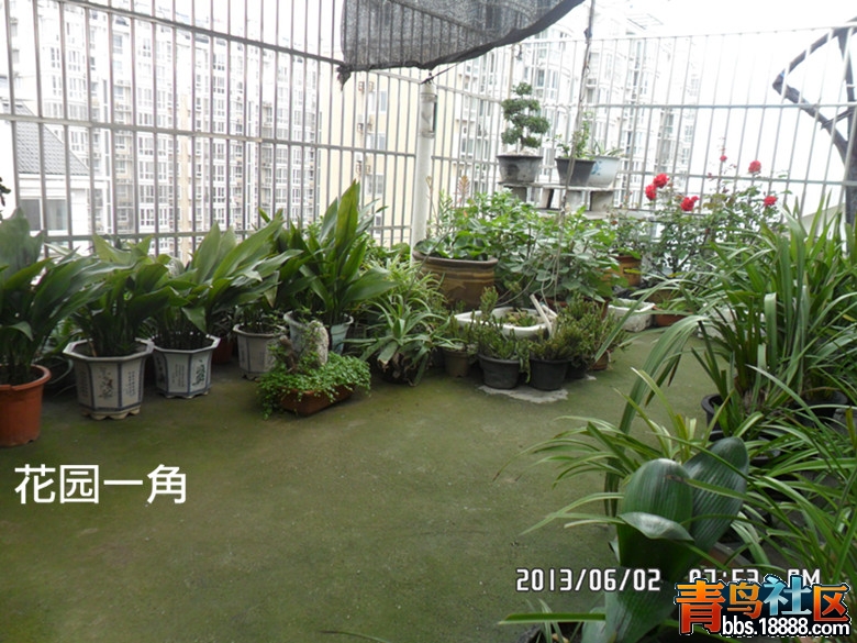 SAM_1839_副本.jpg