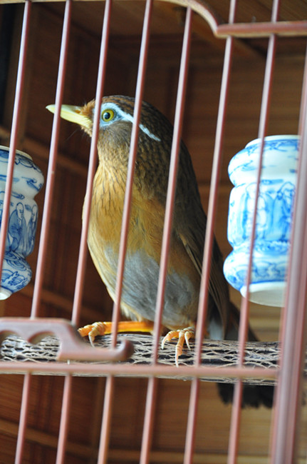 dsc_8377_副本.jpg