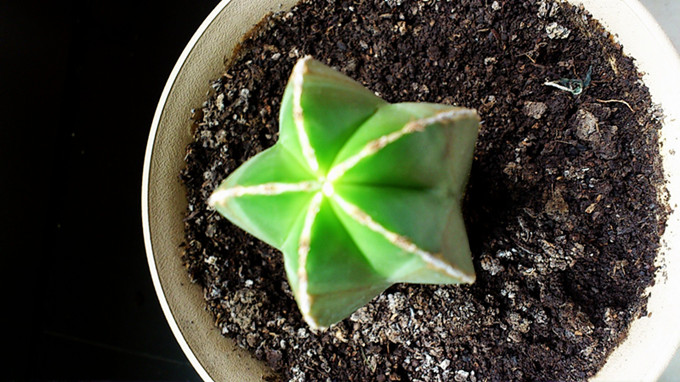 C360_2013-06-19-12-08-02-957_副本.jpg
