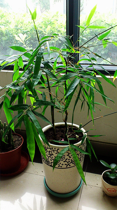 C360_2013-06-19-12-09-02-967_副本.jpg