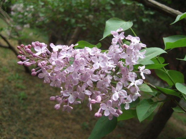 DSCF3550_调整大小.JPG