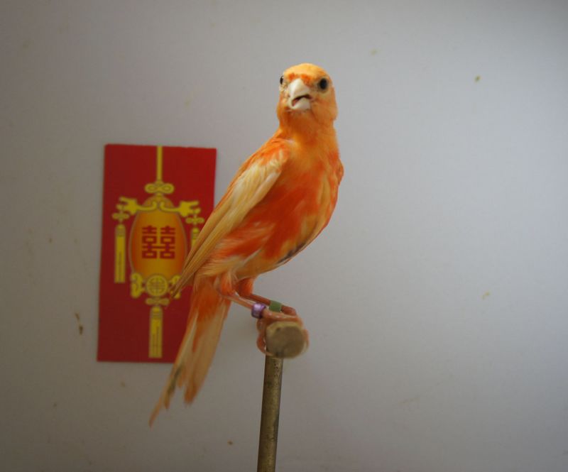 nEO_IMG__DSC5847.jpg
