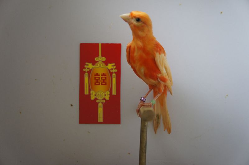 nEO_IMG__DSC5835.jpg
