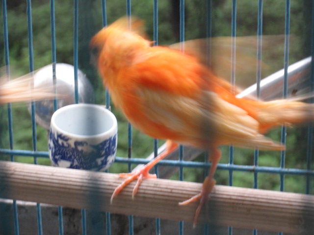 2013-06-13 004.jpg