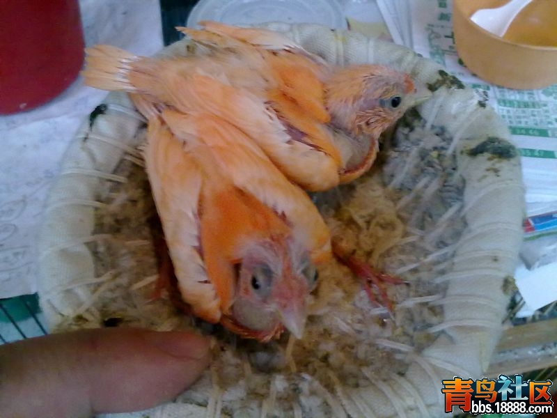 20130615787.jpg
