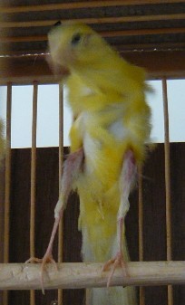 01.jpg