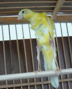 03.jpg
